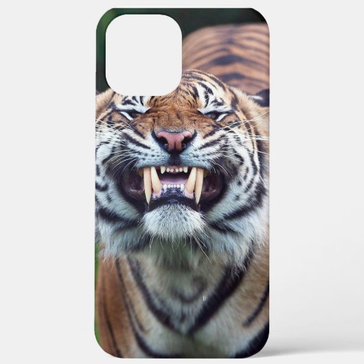 "Tiger Tooth" Case-Mate iPhone Case (Achterkant)
