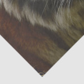 Tiger Tropical Palm Tissuepapier (Detail)