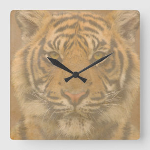 Tiger Wall Clock Vierkante Klok