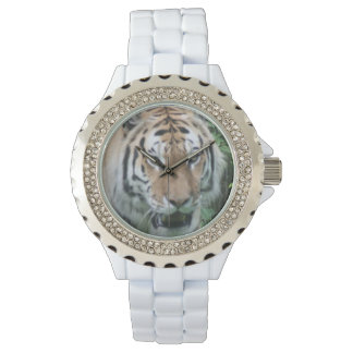 Tiger Watch Horloge