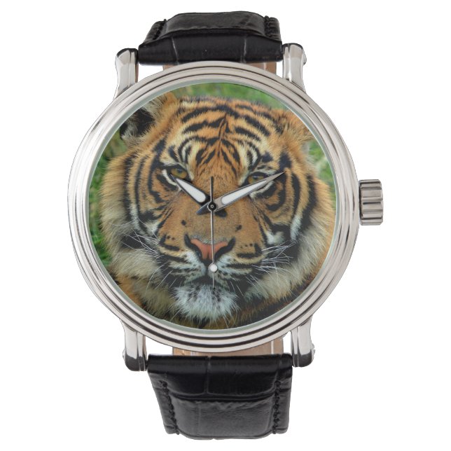 Tiger Watch Horloge (Voorkant)