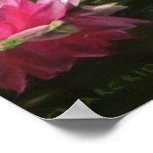 TIGER WILD PEACE POSTER (Hoek)