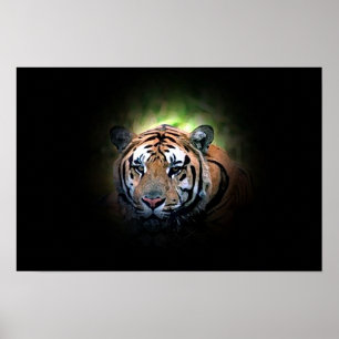Tiger - Wilde Big Cat Poster