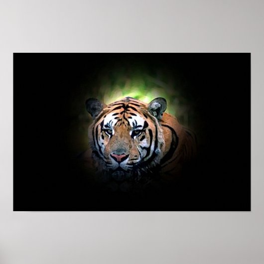 Tiger - Wilde Big Cat Poster (Voorkant)