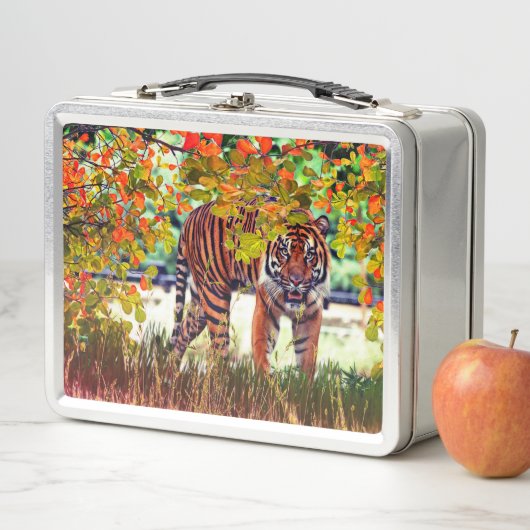 Tiger Wildlife (In situ)