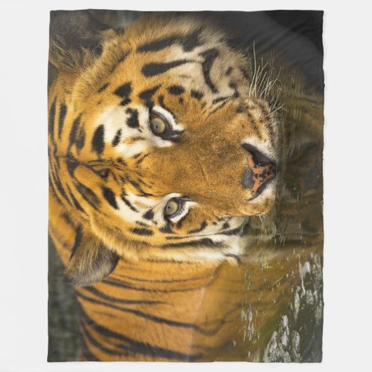 Tiger Wildlife Fleece Blanket (Voorkant)