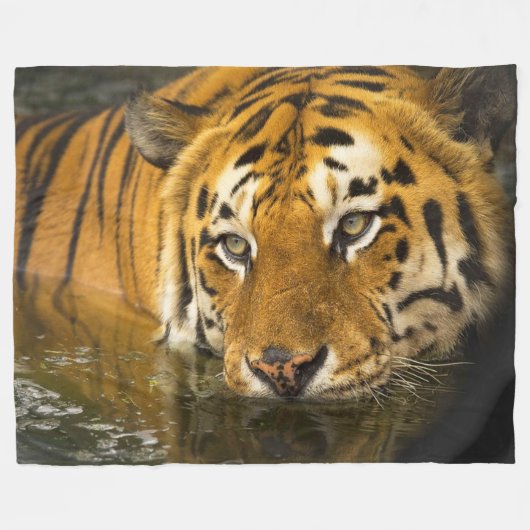 Tiger Wildlife Fleece Blanket (Voorkant (Horizontaal))