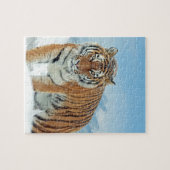 Tiger Winter Snow Mountains Animal Foto Legpuzzel (Horizontaal)
