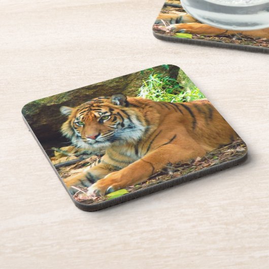 Tiger Wisdom Onderzetter Set (Linkerzijde)