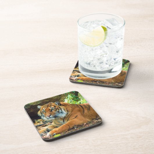 Tiger Wisdom Onderzetter Set (Rechterzijde)