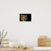 Tiger With Black Background Poster (Keuken)