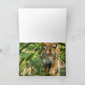 TIGER YOUTH VAN DE NATION SUMATRA KAART (Binnen)