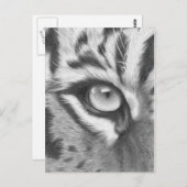 Tigerauge - Bleistiftzeichnung Briefkaart (Voorkant / Achterkant)