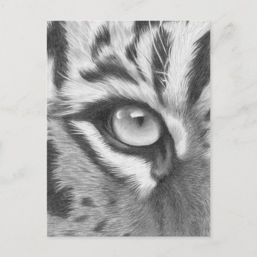 Tigerauge - Bleistiftzeichnung Briefkaart (Voorkant)