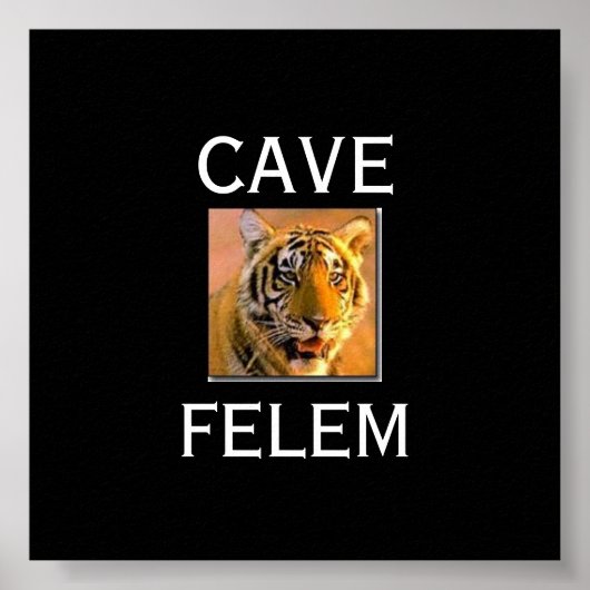 TIGERBeware van de kat - in het Lets.... - GEPERSO Poster (Voorkant)