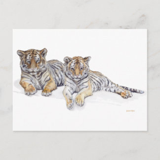 tigercubs briefkaart