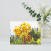 Tigerlily Briefkaart (Staand voorkant)