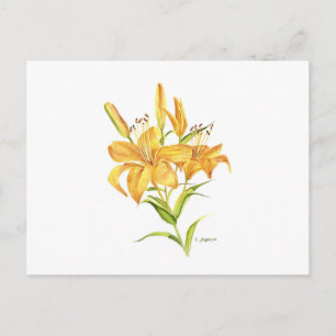 Tigerlily geel sinaasappel waterverf botanisch briefkaart