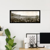 Tigers Cubs Series Photo 1907 Poster (Thuiskantoor)