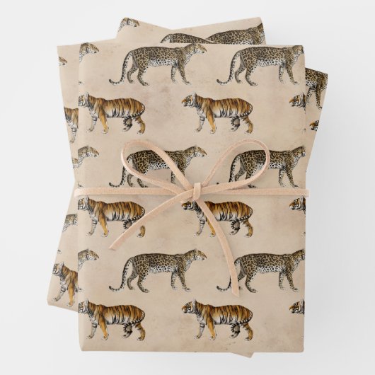Tigers en luipaarden op Tan Inpakpapier Vel (In situ)