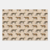 Tigers en luipaarden op Tan Inpakpapier Vel (Voorkant)