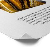 Tiger's Eye Crystal Betekenis Poster (Hoek)