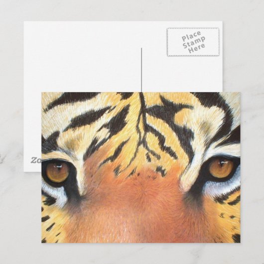 Tigers Eyes Briefkaart (Voorkant / Achterkant)