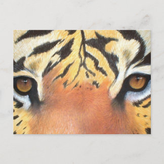 Tigers Eyes Briefkaart
