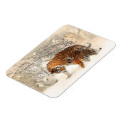 Tigers familie magneet (Linkerzijde)