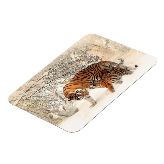Tigers familie magneet (Linkerzijde)