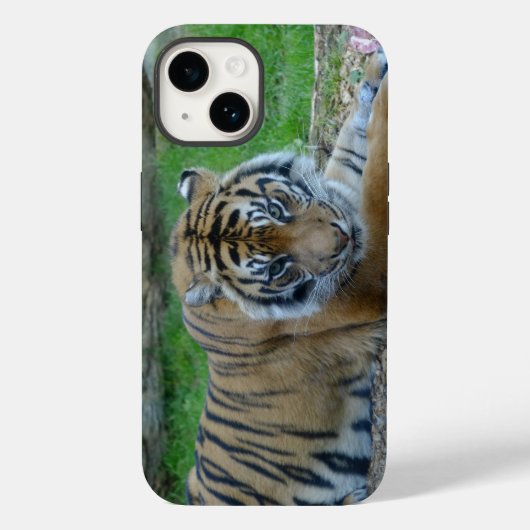 Tiger's Gaze iPhone / iPad Case (Achterkant)