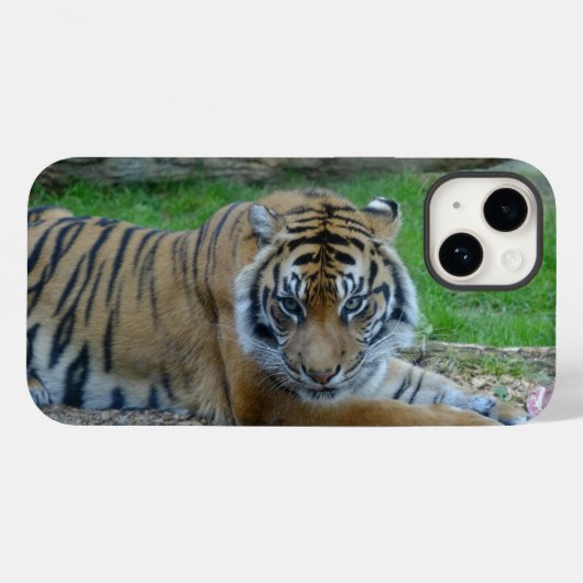 Tiger's Gaze iPhone / iPad Case (Achterkant (horizontaal))