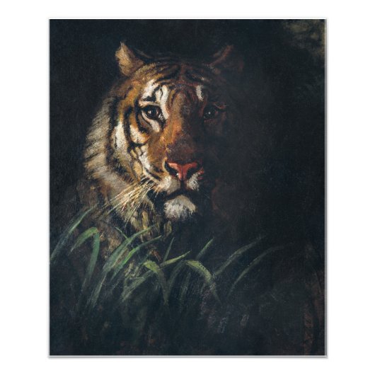 Tiger's Head-schilderij van Abbott Handerson Thaye Foto Afdruk (Voorkant)