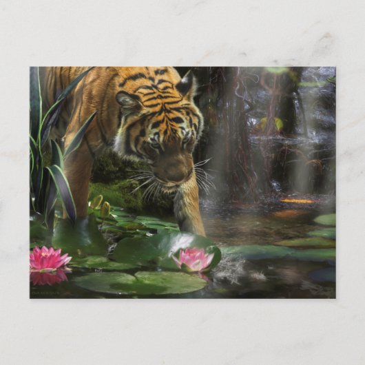 TIGERS HEBBEN WILDE VREDE NODIG BRIEFKAART (Voorkant)