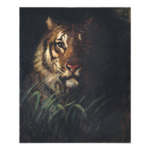 Tiger's hoofd van Abbott Handerson Thayer Foto Afdruk