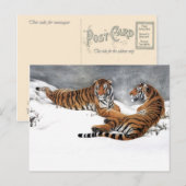 Tigers in de sneeuw, klassieke Chinese kunst Briefkaart (Voorkant / Achterkant)