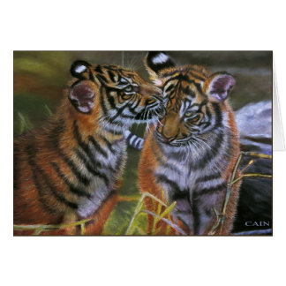 TIGERS IN LIEFT