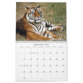 Tigers Kalender (Feb 2027)