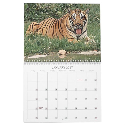 Tigers Kalender (Jan 2027)