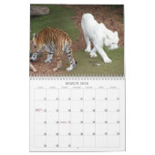 Tigers Kalender (Mar 2026)