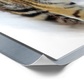 Tigers Lovers Art Poster (Hoek)