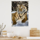 Tigers Lovers Art Poster (Keuken)