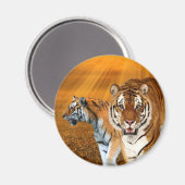 Tigers Magneet (Voorkant / Achterkant)
