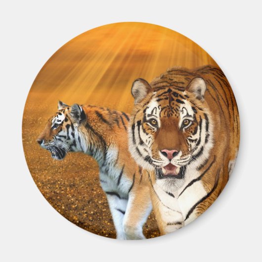 Tigers Magneet (Voorkant)