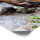 Tigers, male and female, perfect poster (Hoek)