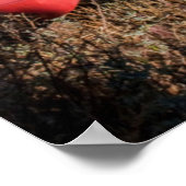 Tiger's Nest-klooster, Bhutan Poster (Hoek)