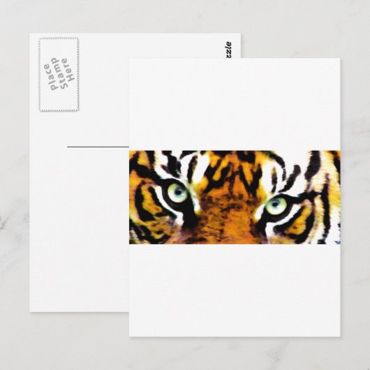 TIGER'S OGEN. BRIEFKAART (Voorkant / Achterkant)