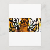 TIGER'S OGEN. BRIEFKAART (Voorkant)