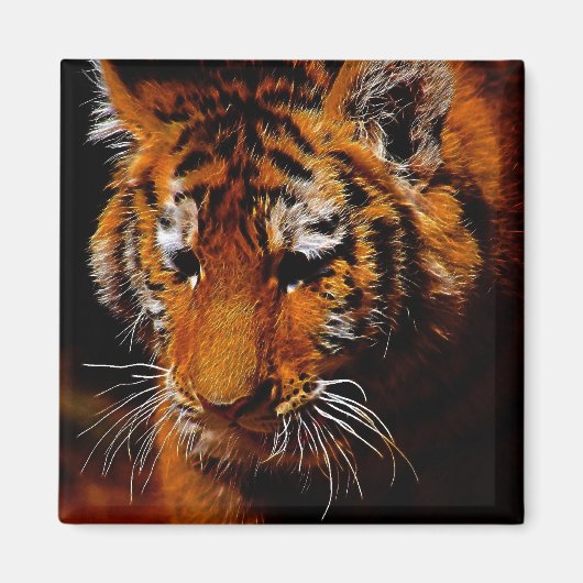 Tigers ogen magneet (Voorkant)