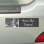 Tigers opslaan bumpersticker (Op auto)